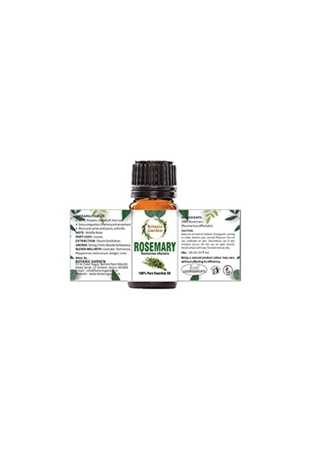 BOTANIC GARDEN Rosemary Oil for Healthy Hair and Shiny Skin, (10ml) - Image 2