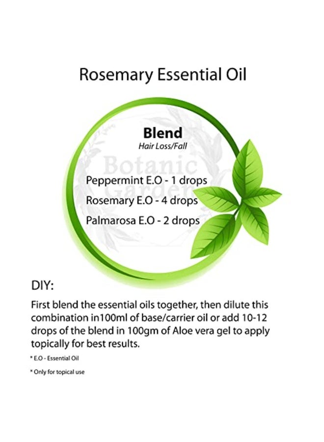 BOTANIC GARDEN Rosemary Oil for Healthy Hair and Shiny Skin, (10ml) - Image 4