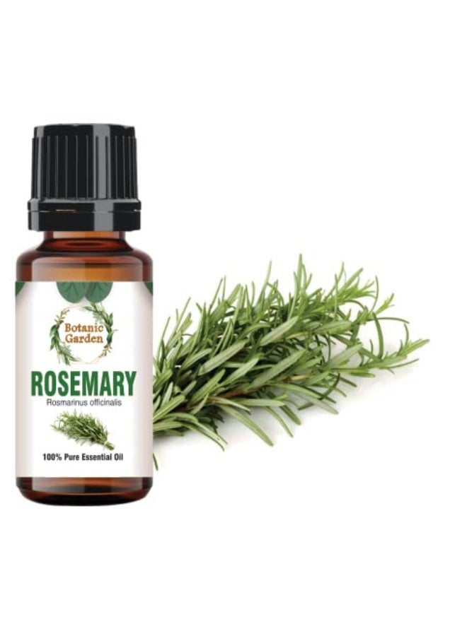 BOTANIC GARDEN Rosemary Oil for Healthy Hair and Shiny Skin, (10ml) - Image 1