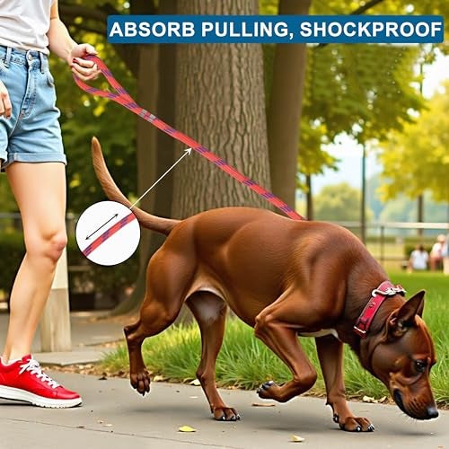 24 BH BAZAAR Dog Leash - 5 ft | Strong Leash for Dogs with Heavy Clip | Dog Rope for Medium and Small Dogs – Durable Pet Leash for Walking & Training - Red - Image 5