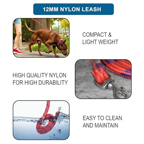 24 BH BAZAAR Dog Leash - 5 ft | Strong Leash for Dogs with Heavy Clip | Dog Rope for Medium and Small Dogs – Durable Pet Leash for Walking & Training - Red - Image 4