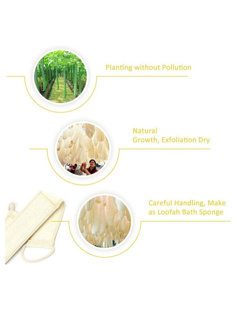 NIBEMINENT 2pcs Scrubbing Strap Luffa Back Scrubber Double Side Exfoliating Loofah for Shower Bath Body Cleaning Removing Dead Skin Grease Suitable Men and Women  - Image 5