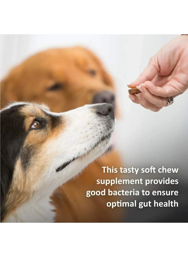 فاترناري فورميولا تركيبة سينيرجي لابز البيطرية للعناية السريرية لصحة المفاصل القصوى 150 جرام (30 قطعة) - Image 2