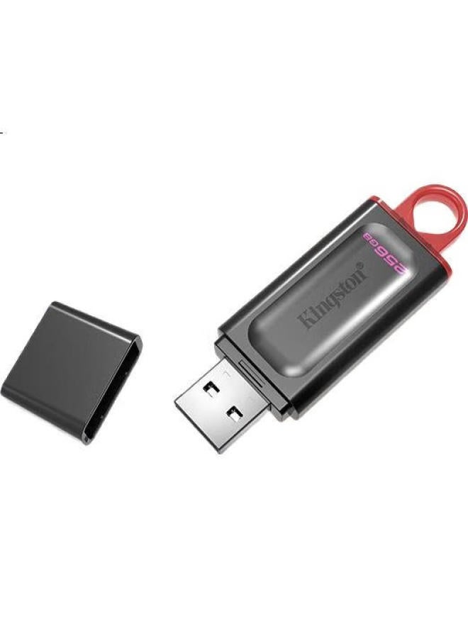 Kingston كينجستون 256 جيجابايت فلاش درايف Usb3.2 الجيل 1 إصدار طباعة باندا من الخيزران - Image 3