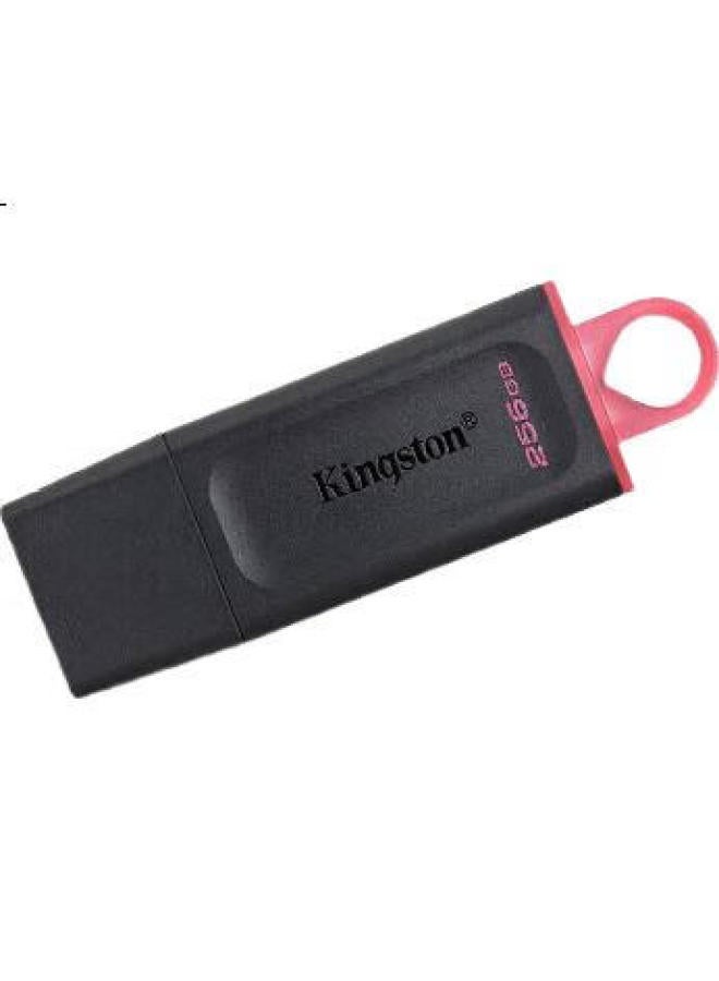 Kingston كينجستون 256 جيجابايت فلاش درايف Usb3.2 الجيل 1 إصدار طباعة باندا من الخيزران - Image 1