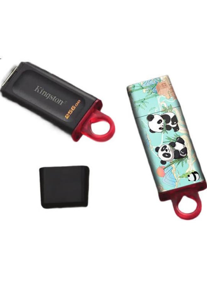 Kingston كينجستون 256 جيجابايت فلاش درايف Usb3.2 الجيل 1 إصدار طباعة باندا من الخيزران - Image 2