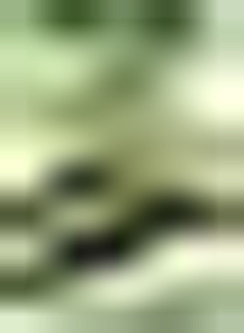 GGOOT seeds   Cucumber seeds   F1 Baby - Image 1