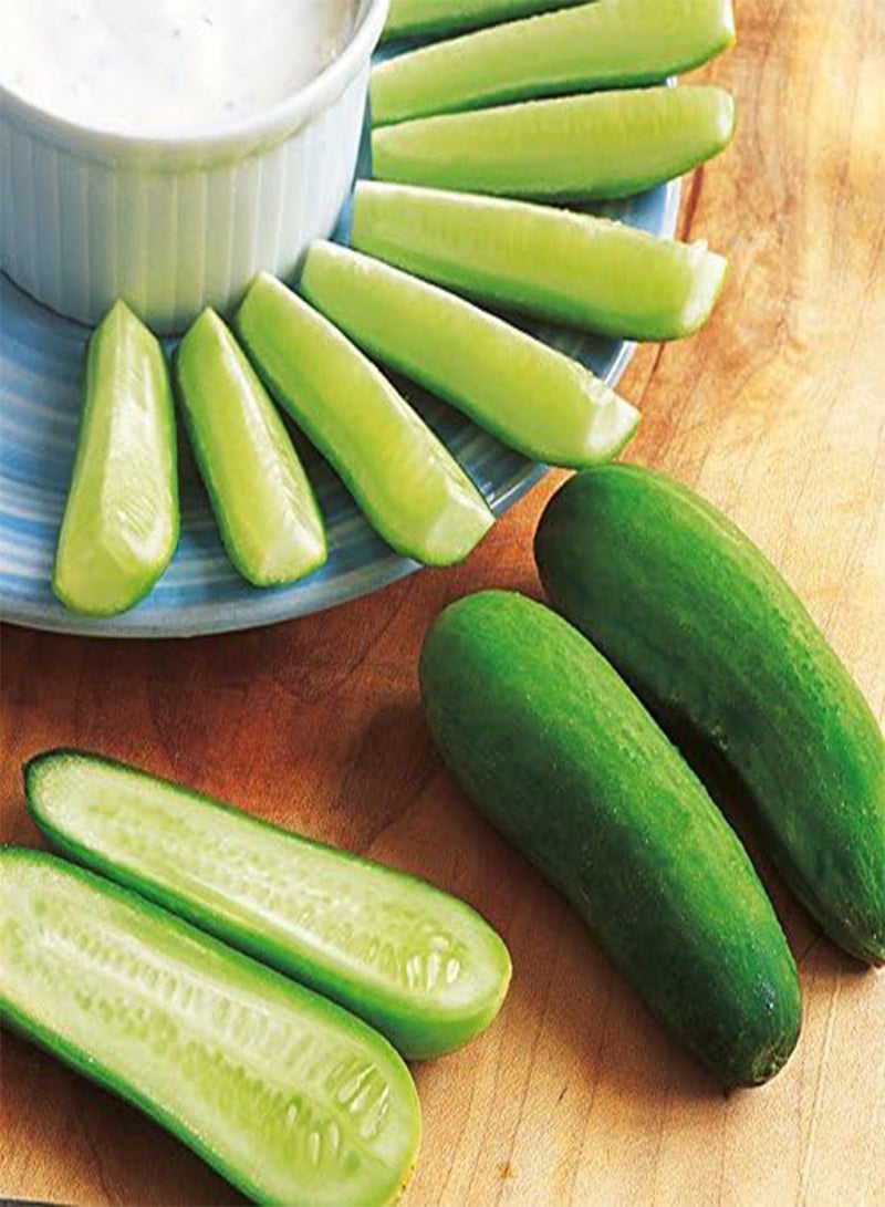 GGOOT seeds   Cucumber seeds   F1 Baby - Image 3