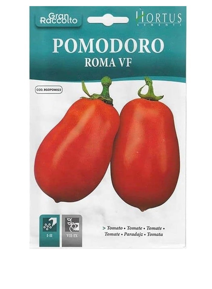 Roma Tomato (Pomodoro Roma VF) Premium Quality Seeds (Made in Italy) by Hortus Sementi "Garden Care"