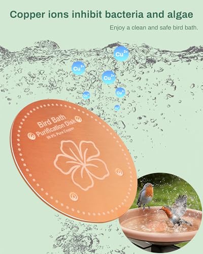 OICEME Bird Bath Purification Disk Pure Copper Outside Winter Solar Power Birdbath Wild Hummingbird Pedestal Fountain Cleaner Humming Feeder Cage Dispenser Heater Ground Safe Garden Lover Women Gift - Image 2