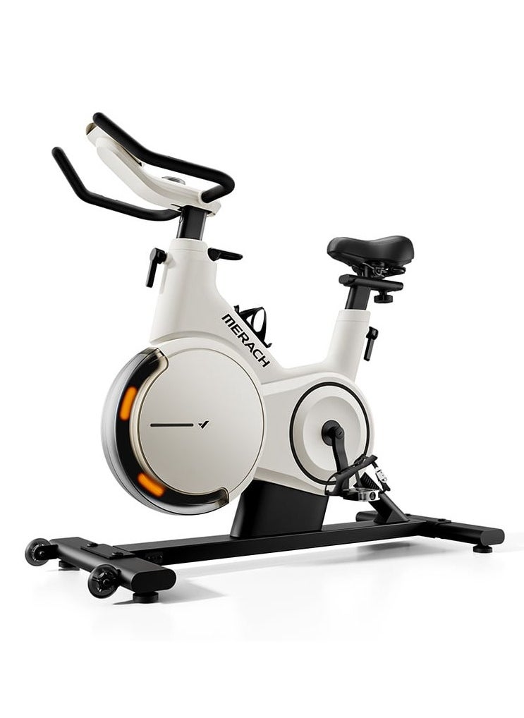 Upgraded Professional Exercise Bike S28 - pzsku/ZC0E4846653B5FD8C64B3Z/45/_/1730651211/36af2f6a-a50b-4b16-95e3-2b1b15253080