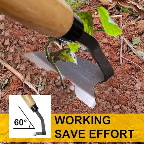 Hanpex - Japanese Weeding Sickle, Wide Blade Gardening Tools - Premium Quality Hand Hoes/Weeding Sickle Have Very Sharp Edge for Quick Work (Long Handle) - Image 4