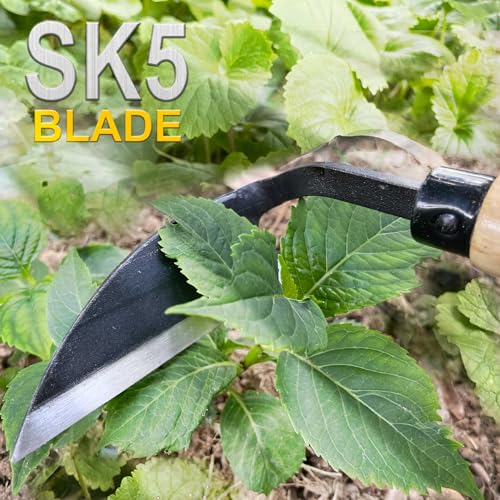 Hanpex - Japanese Weeding Sickle, Wide Blade Gardening Tools - Premium Quality Hand Hoes/Weeding Sickle Have Very Sharp Edge for Quick Work (Long Handle) - Image 3