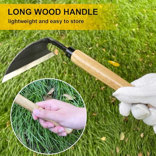 Hanpex - Japanese Weeding Sickle, Wide Blade Gardening Tools - Premium Quality Hand Hoes/Weeding Sickle Have Very Sharp Edge for Quick Work (Long Handle) - Image 5