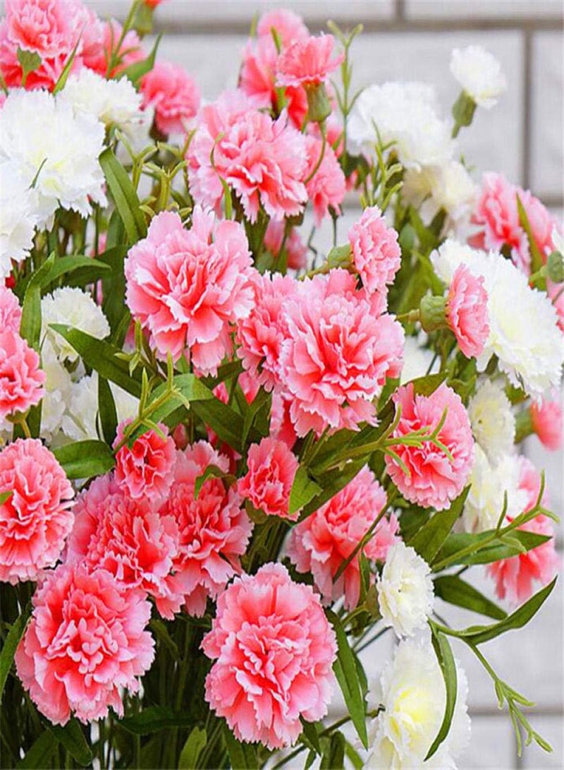 GGOOT Garden Flowers Seed Collection Grow,Carnation seeds-excellent_5 oranges,Ornamental Flowers Seeds - Image 5