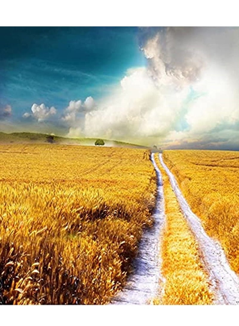 1.5m*2.1m Photo Background Texture Product Display Special Photo Background Photos Drops Photography Backdrops Photo Studio Art Vinyl Paper for Photo Shoot (013)  - Image 2