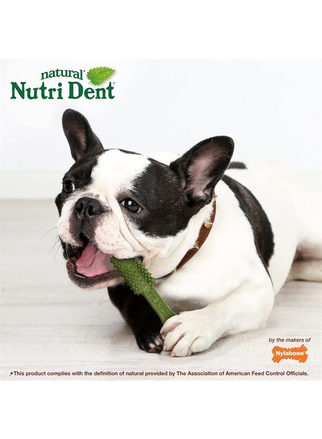 Nylabone Nutri Dent Natural Dental Fresh Breath Flavored Chew Treats Medium (20 Count)