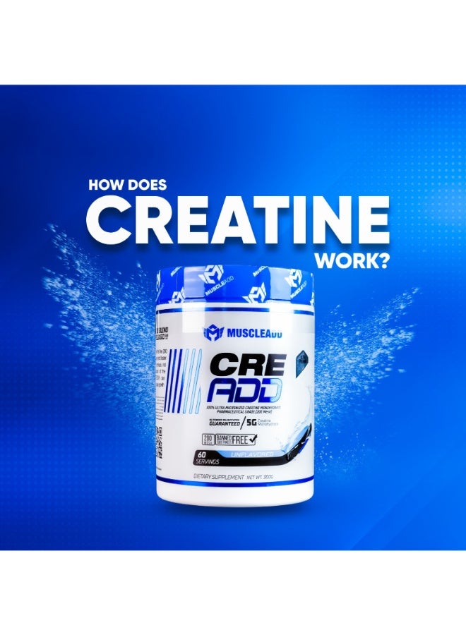 مسكليد كرياتين 60 جرعة بدون نكهة - Image 4