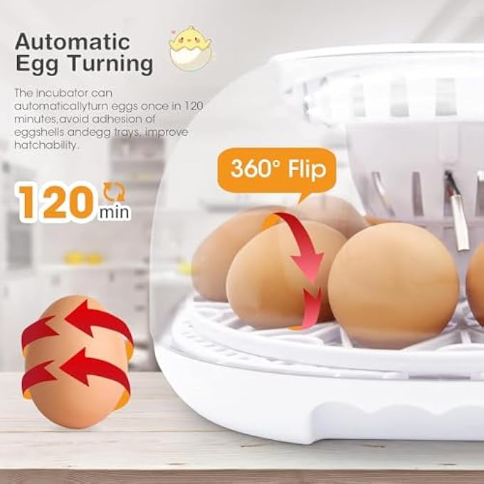 rayihni 12 Egg Incubator For Hatching Eggs With Automatic Turning And Humidity Control Automatic Water Adding For Hatching Chickens Duck Grey - Image 4
