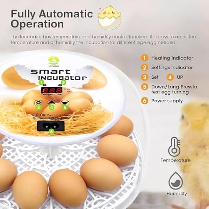 rayihni 12 Egg Incubator For Hatching Eggs With Automatic Turning And Humidity Control Automatic Water Adding For Hatching Chickens Duck Grey - Image 5