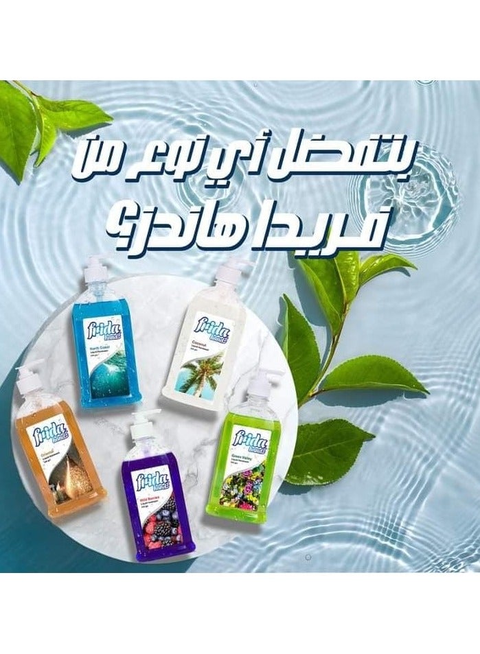 Frida Hands Coconut Liquid Hand Wash 1+1 520 Ml - Image 5