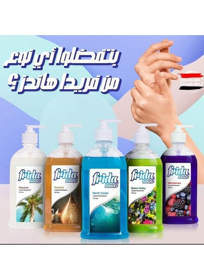 Frida - Frida Hands Coconut Liquid Hand Wash 1+1 520 Ml - Image 1
