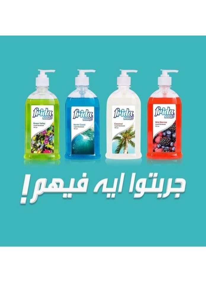 Frida - Frida Hands Coconut Liquid Hand Wash 1+1 520 Ml - Image 1