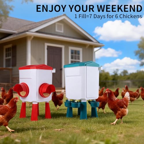 PlentiVive Chicken Feeder and Waterer Set - 2.1 Gal & 17.6 Lbs Automatic Gravity Poultry Kit - No Waste Port Feeder, Leak Proof Hanging Waterer w/Adjustable Legs for Chicks Hens - Image 4