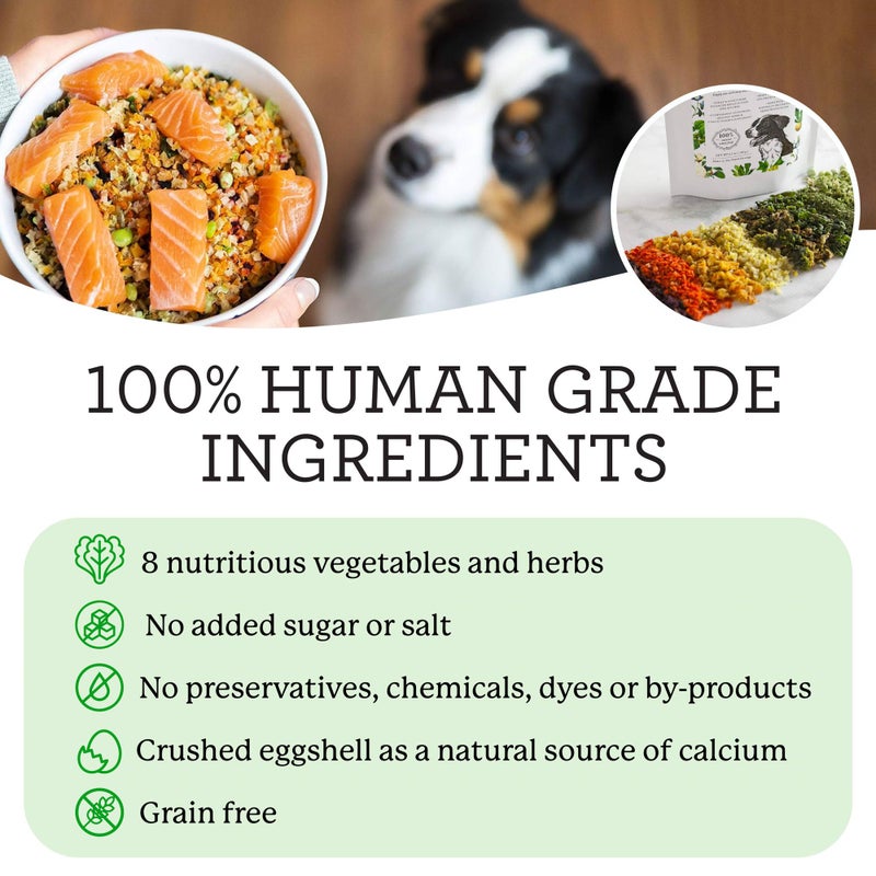 Dr. Harvey's Veg-to-Bowl Dog Food, Human Grade Dehydrated Base Mix for Dogs, Grain Free Holistic Mix (3 Pound) - Image 3