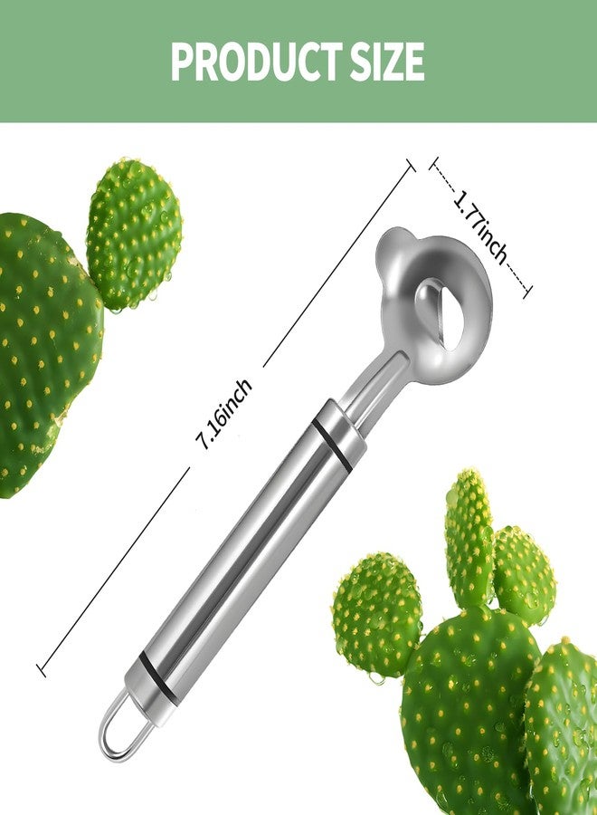 Creztail 2 PCS Cactus Peeler Tool - Cactus Peeling Spoon, Pelador de Nopales, Multi-Function Nopal Cactus Cutter, Stainless Steel Nopales Peeler with Groove Edge for Peeling Nopales and Noodle - Image 2