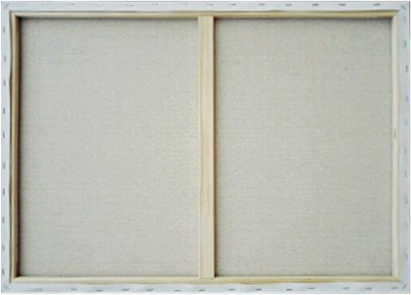 اي ار اس لوحة قماشية بيضاء فارغة من ARS، مقاس 60 سم × 90 سم، مصنوعة من القطن الخالص 100%، مناسبة للرسم، وصب الأكريليك، والألوان الزيتية، ووسائط الرسم الجافة والرطبة. - Image 5