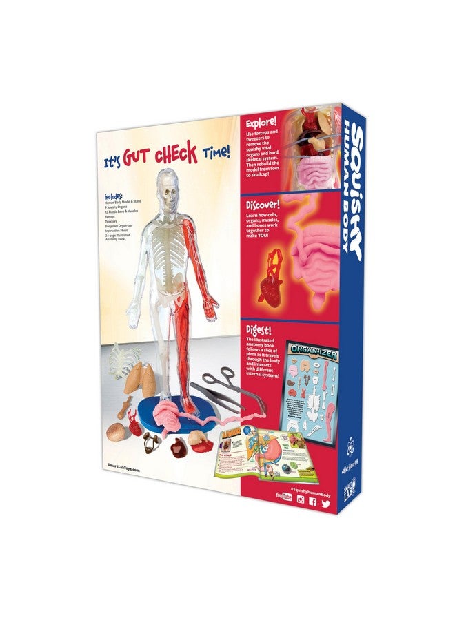 SmartLab QPG Lab for Kids, Squishy Human Body, Grade 3-8 - Image 2