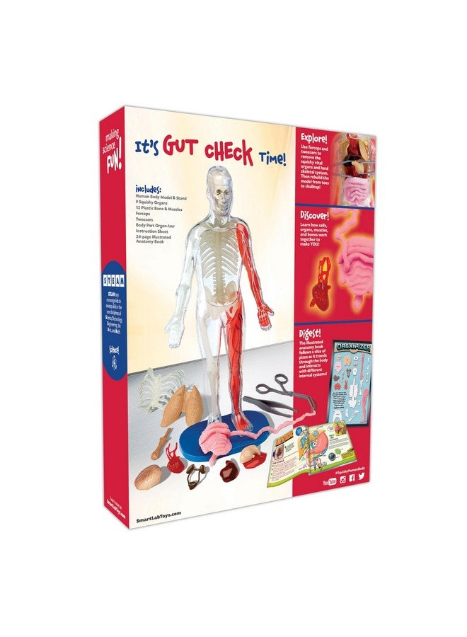 SmartLab QPG Lab for Kids, Squishy Human Body, Grade 3-8 - Image 3