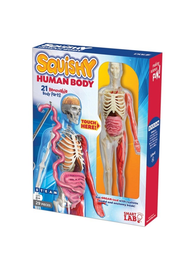 SmartLab QPG Lab for Kids, Squishy Human Body, Grade 3-8 - Image 5