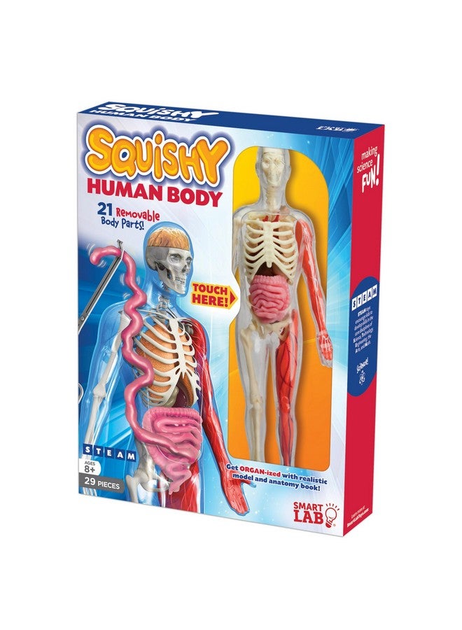 SmartLab QPG Lab for Kids, Squishy Human Body, Grade 3-8 - Image 4