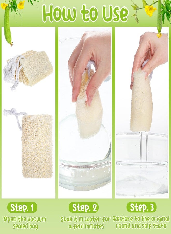 Hoemwarm 9 Pack 4”Natural Loofah Sponge Small Size Natural Organic Loofah for Kitchen Cleaning Dishes Toddler Exfoliating Skin Care Body Scrubber - Image 4