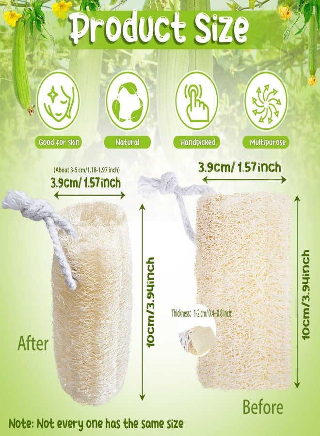 Hoemwarm 9 Pack 4”Natural Loofah Sponge Small Size Natural Organic Loofah for Kitchen Cleaning Dishes Toddler Exfoliating Skin Care Body Scrubber - Image 2