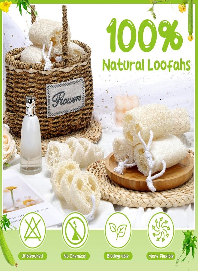 Hoemwarm 9 Pack 4”Natural Loofah Sponge Small Size Natural Organic Loofah for Kitchen Cleaning Dishes Toddler Exfoliating Skin Care Body Scrubber - Image 3