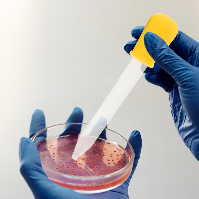 6Pcs Silicone Droppers Droppers 5ml Clear Liquid Pipettes Droppers with Cleaning Brush - Image 2