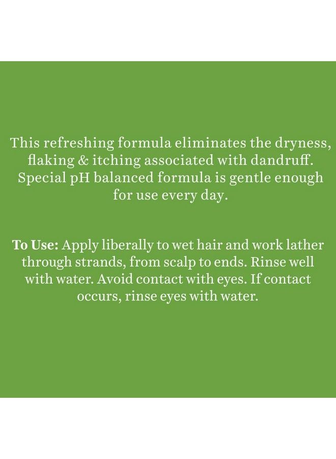 Biotique شامبو وبلسم بيو نيم مارجوسا المضاد للقشرة 650 مل (عبوة من قطعتين) - Image 4