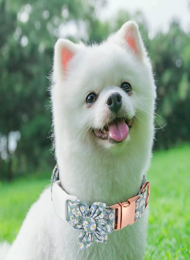 Gokotta Dog Collar Female Flower with Buckle，Adjustable Girl Soft Collars Foral Bow Tie, with Airtag Holder Case Removable for Small Medium Large Dogs (L, Light Blue Flower) - Image 4