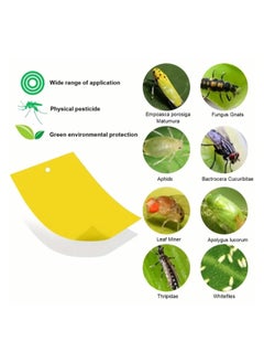 Just Quality 10pcs, Yellow Double-sided Sticky Traps For Bug, Fly Trap, Insect Trap Catch Multiple Flying Insects With Natural Mold Control Sticker Perfect For Gardening 20cmx10cm  - Image 5