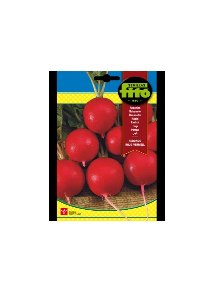 Fito Radish Redondo Rojo - Vermell (20 g)