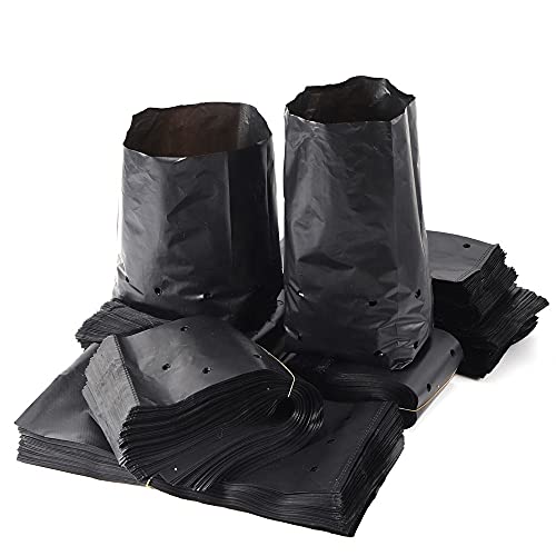 Go Garden Plastic UV Protected Poly Grow Nursery Plant Bags | Plant Bags for Home Garden |(Black, 8 x 12 inch) -50 Qty - Image 3