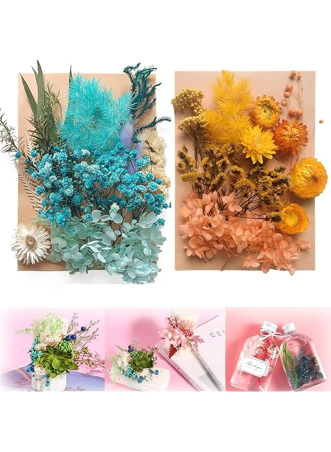 The Bros 2 Colors Natural Pressed Flowers Multiple Colorful Real Dried Flowers Decorative for Art Crafts DIY, Dry Flat Flowers Leaves for Resin Molds, Soap Candle Scrapbooking（Blue+Orange） - Image 1