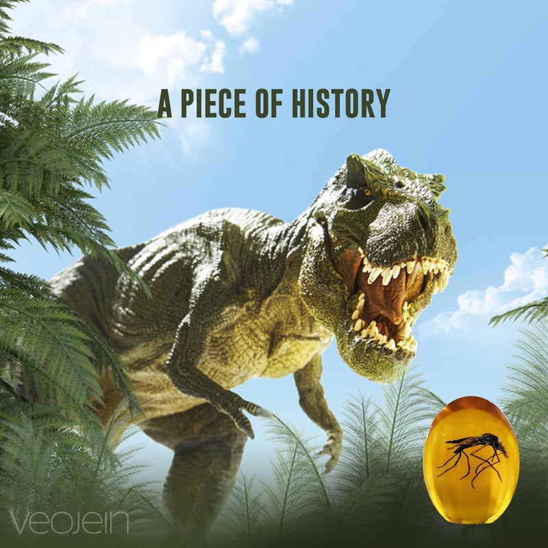 VEOJEIN Jurassic Mosquito in Amber | Durable Resin Encased Detailed 2D Insect. Perfect for Collectors and Enthusiasts | Paperweight, Aged Effect, Desk Ornament - Image 3