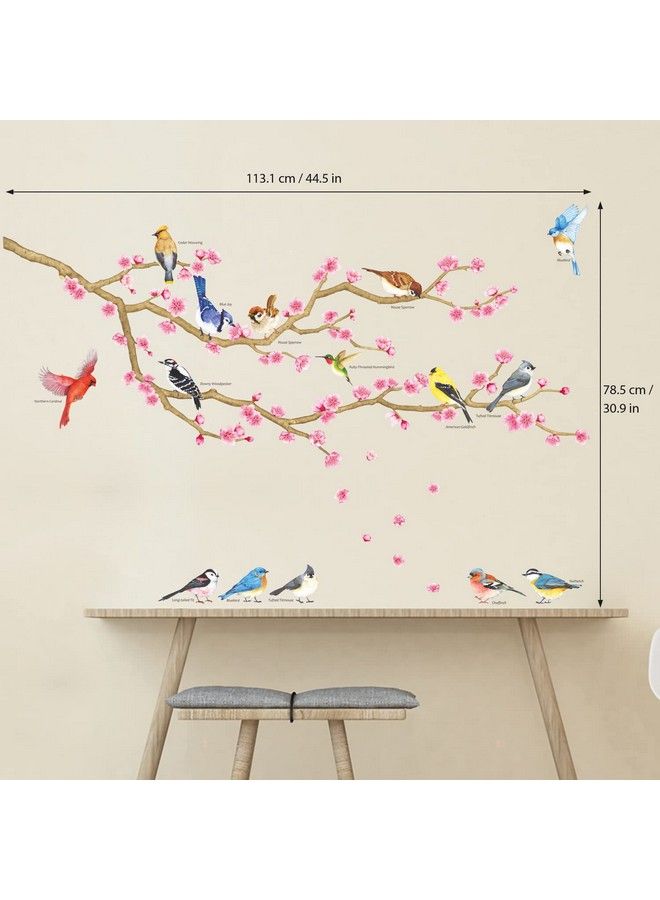Decowall Dwl2009 Garden Birds And Cherry Blossom Wall Stickers Wall Decals Peel And Stick Removable Wall Stickers For Kids Nursery Bedroom Living Room D?Cor - Image 4