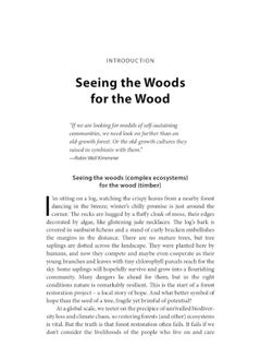 Treewilding: Our Past, Present and Future Relationship with Forests  - Image 1