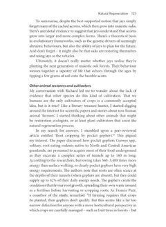 Treewilding: Our Past, Present and Future Relationship with Forests  - Image 2