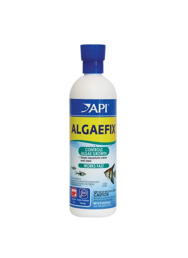 ايه بي آي زجاجة API ALGAEFIX للتحكم في الطحالب سعة 16 أونصة  - Image 1